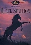 The Black Stallion